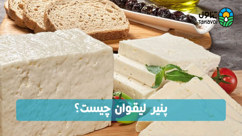 پنیر لیقوان چیست؟