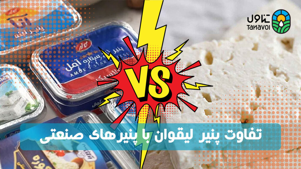 تفاوت پنیر لیقوان با پنیرهای صنعتی