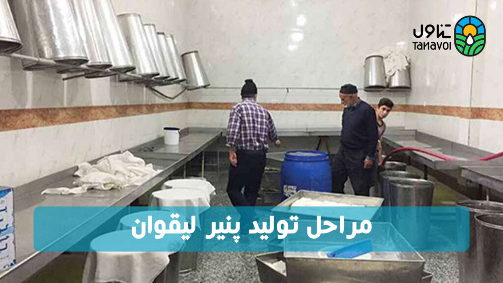 مراحل تولید پنیر لیقوان